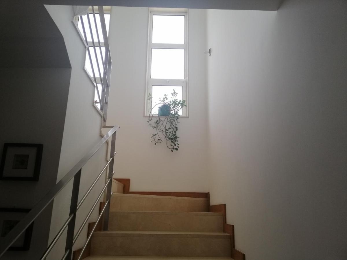 Royalheronhouse Viana do Castelo Ngoại thất bức ảnh